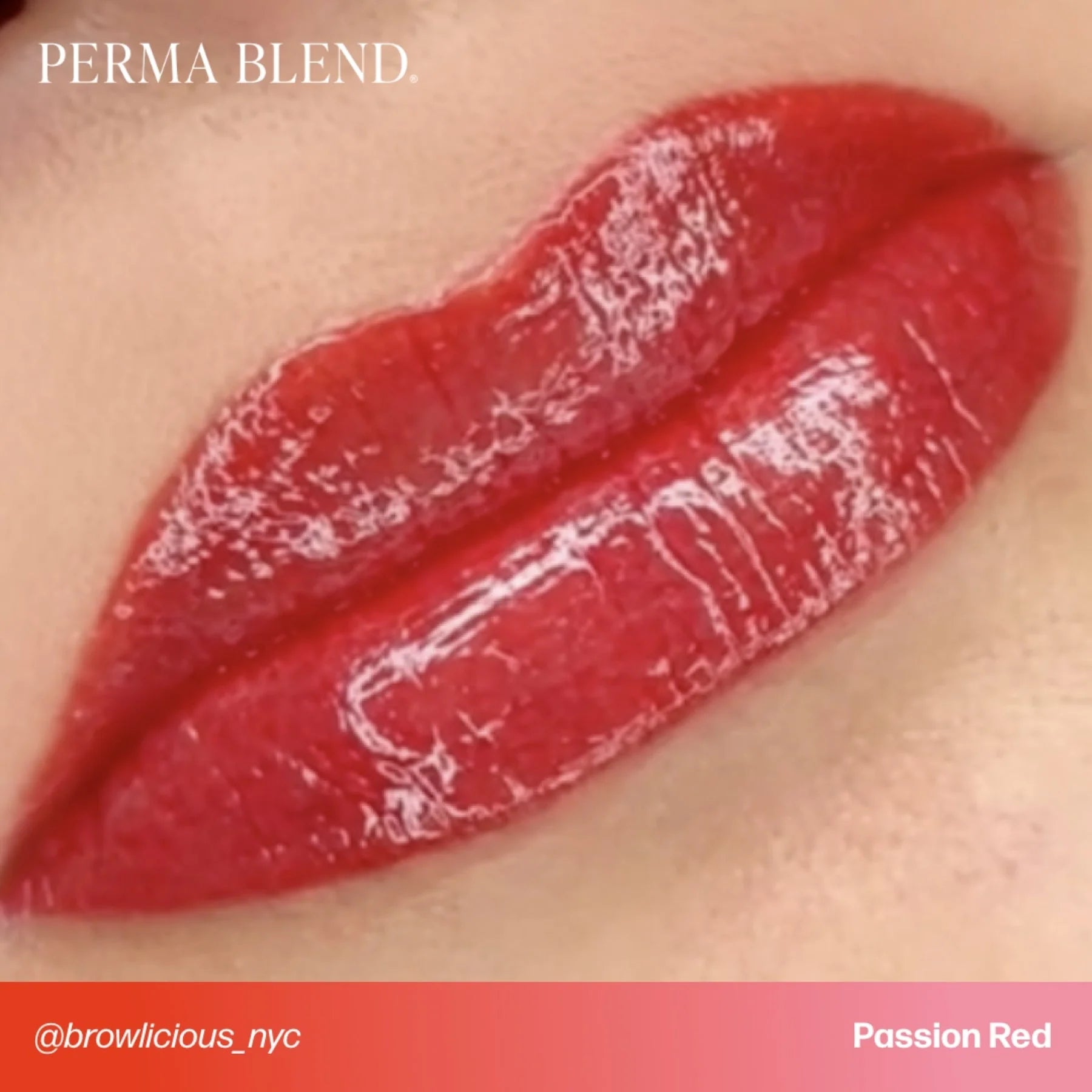 Lip Pigments – Perma Blend Lip Pigment Passion Red 15ml | Perma Blend Professional PMU Lip Blush Pigment for Lip Neutralization, Lip Correction, Lip Tattoo & Semi Permanent Makeup Ink