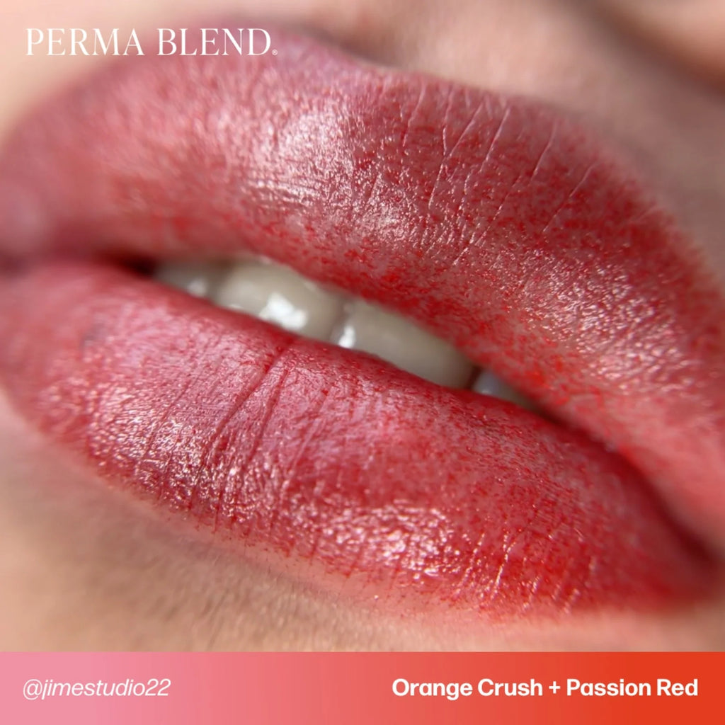 Lip Pigments – Perma Blend Lip Pigment Passion Red 15ml | Perma Blend Professional PMU Lip Blush Pigment for Lip Neutralization, Lip Correction, Lip Tattoo & Semi Permanent Makeup Ink