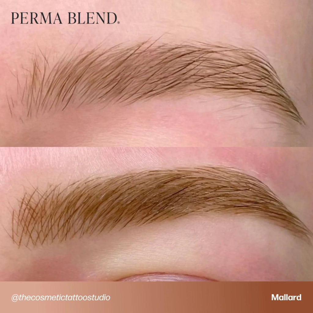 Eyebrow Pigment – Mallard 15ml Perma Blend | Permanent Makeup SPMU Eyebrow Ink for Microblading, Ombré Brows & Powder Brows | Cool Brown Professional Pigment