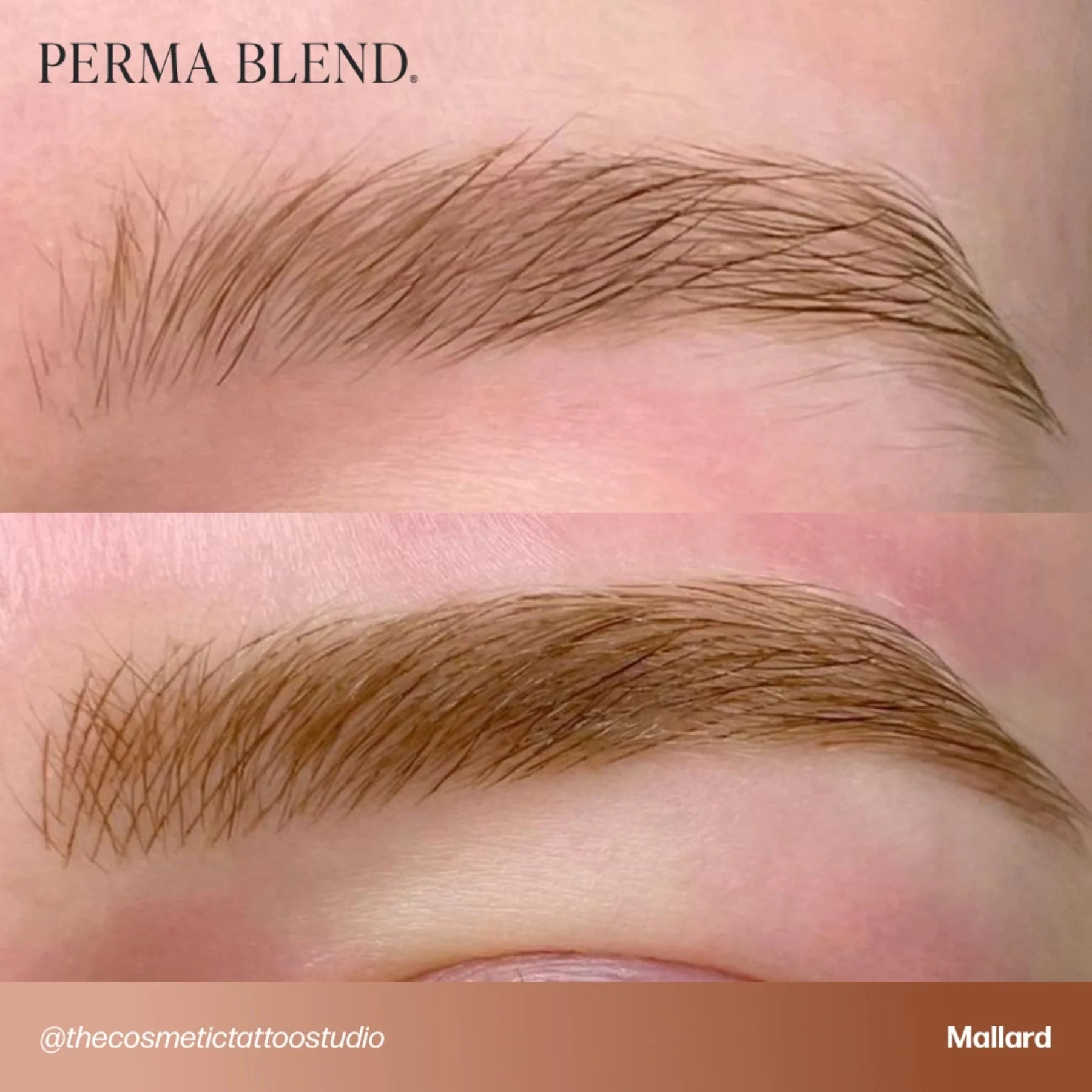 Eyebrow Pigment – Mallard 15ml Perma Blend | Permanent Makeup SPMU Eyebrow Ink for Microblading, Ombré Brows & Powder Brows | Cool Brown Professional Pigment