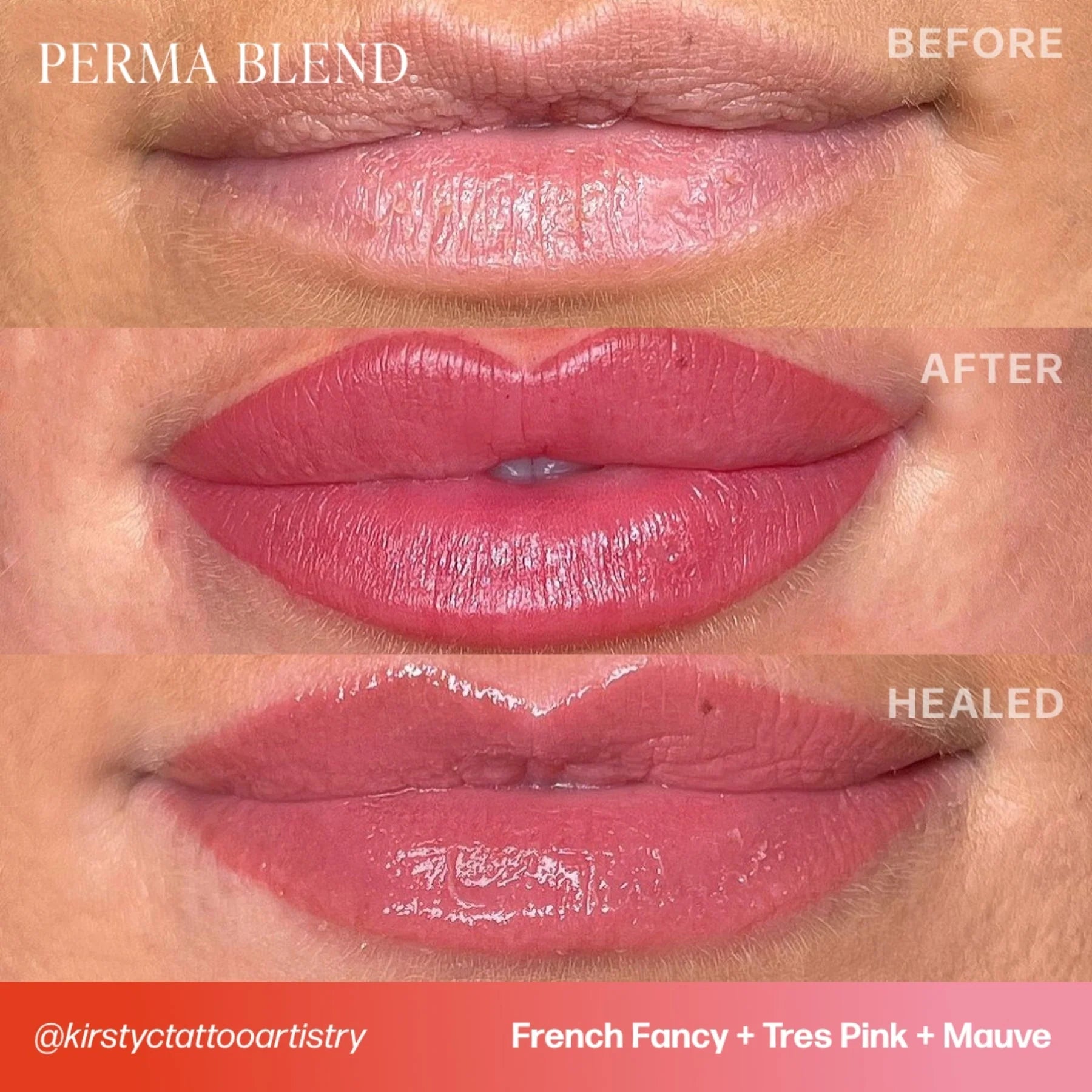 Lip Pigments – Perma Blend Lip Pigment French Fancy 15ml | Perma Blend Professional PMU Lip Blush Pigment for Lip Neutralization, Lip Correction, Lip Tattoo & Semi Permanent Makeup Ink
