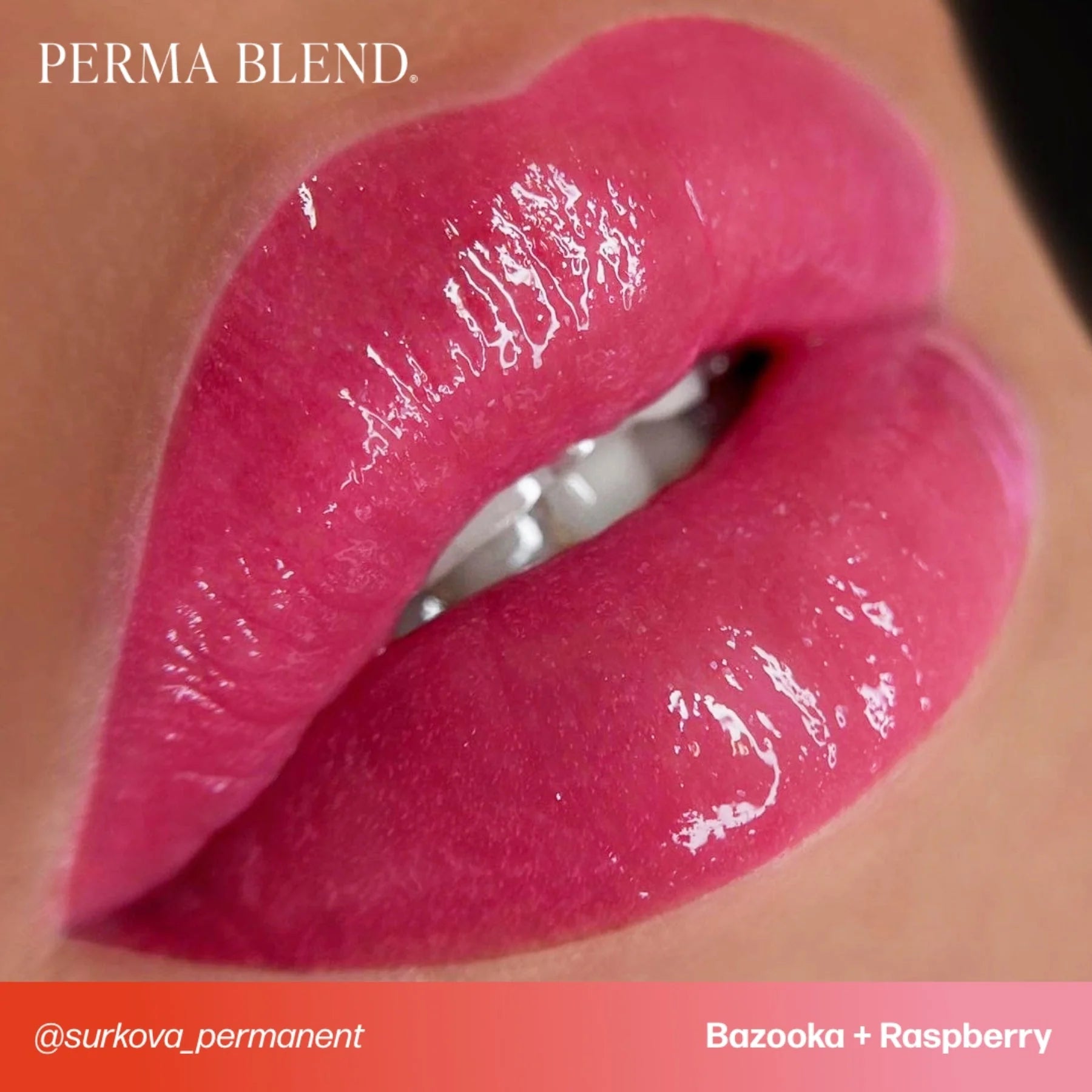 Lip Pigments – Perma Blend Lip Pigment Raspberry 15ml | Perma Blend Professional PMU Lip Blush Pigment for Lip Neutralization, Lip Correction, Lip Tattoo & Semi Permanent Makeup Ink