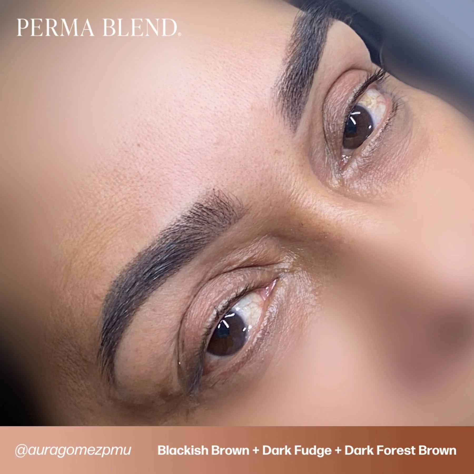 Eyebrow Pigment – Blackish Brown 15ml Perma Blend | Permanent Makeup SPMU Eyebrow Ink for Microblading, Ombré Brows & Powder Brows | Cool Brown Professional Pigment