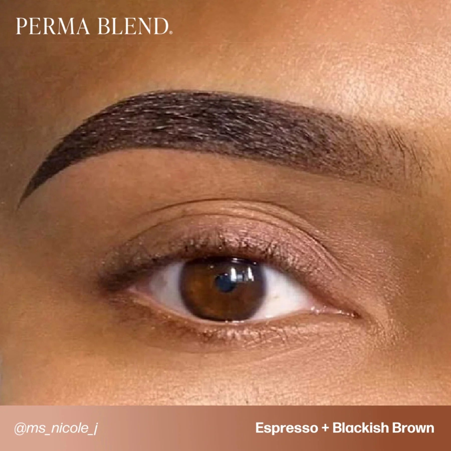 Eyebrow Pigment – Blackish Brown 15ml Perma Blend | Permanent Makeup SPMU Eyebrow Ink for Microblading, Ombré Brows & Powder Brows | Cool Brown Professional Pigment