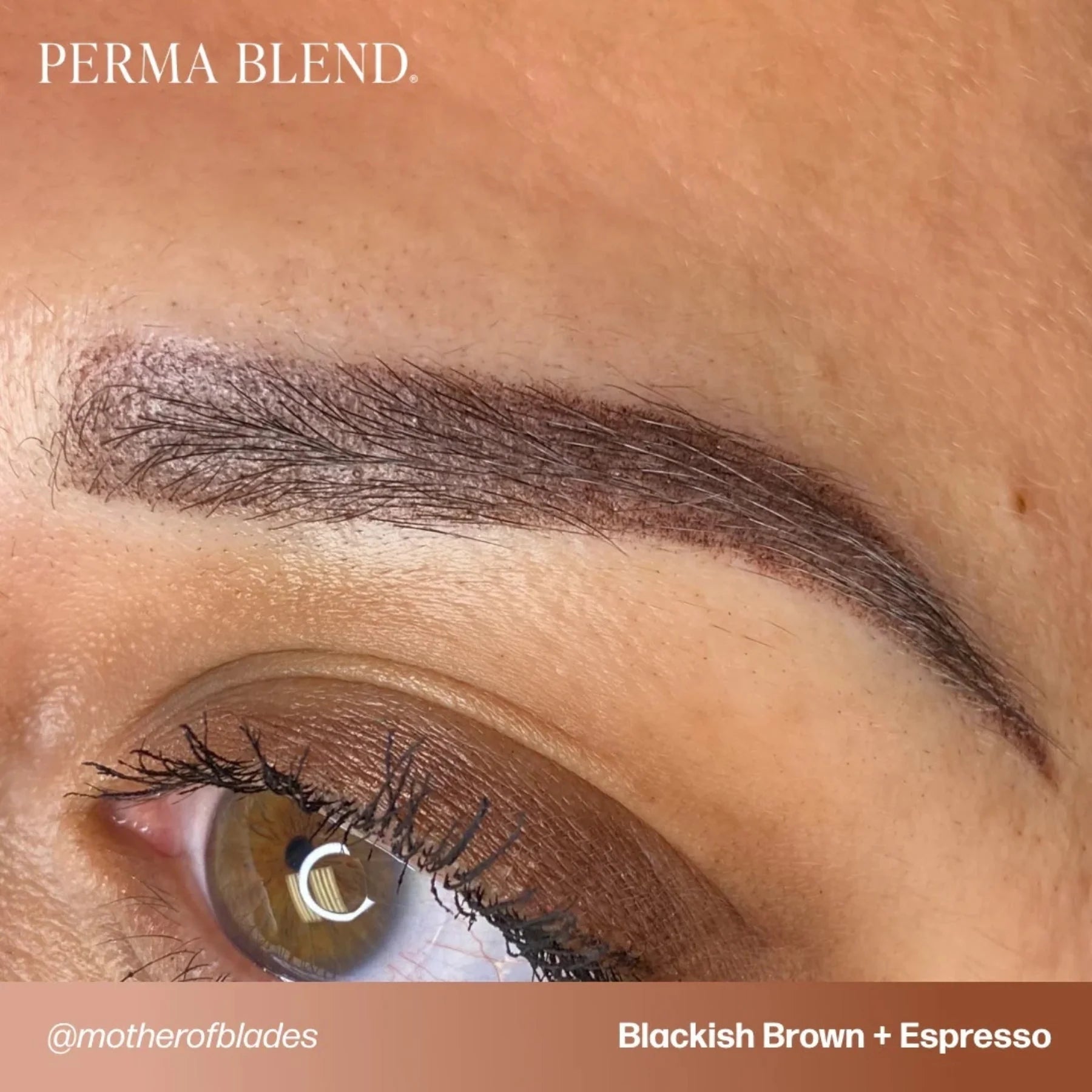 Eyebrow Pigment – Blackish Brown 15ml Perma Blend | Permanent Makeup SPMU Eyebrow Ink for Microblading, Ombré Brows & Powder Brows | Cool Brown Professional Pigment