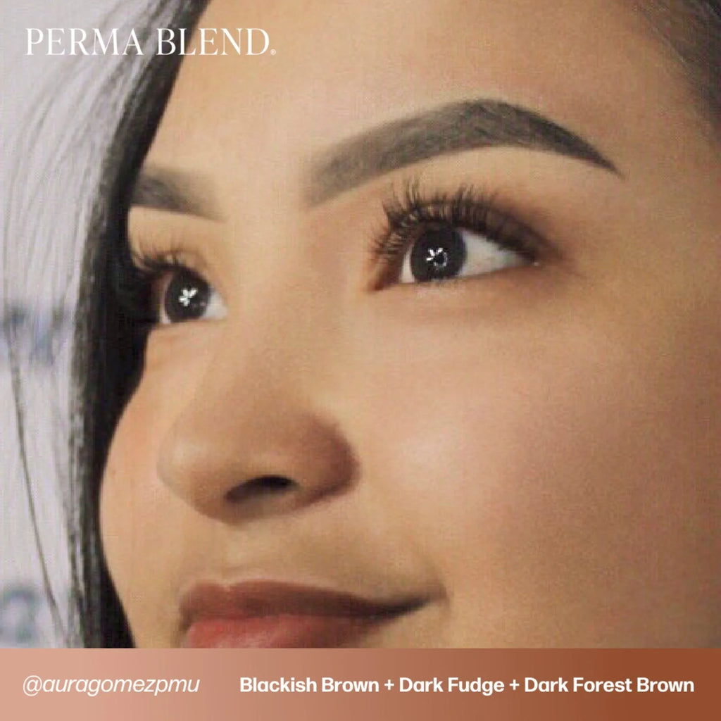 Eyebrow Pigment – Blackish Brown 15ml Perma Blend | Permanent Makeup SPMU Eyebrow Ink for Microblading, Ombré Brows & Powder Brows | Cool Brown Professional Pigment