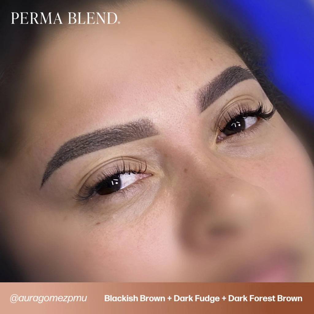 Eyebrow Pigment – Blackish Brown 15ml Perma Blend | Permanent Makeup SPMU Eyebrow Ink for Microblading, Ombré Brows & Powder Brows | Cool Brown Professional Pigment
