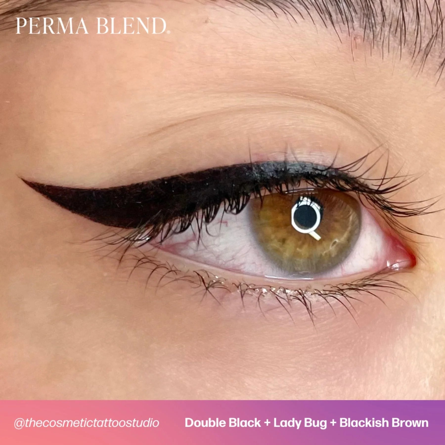 Eyebrow Pigment – Blackish Brown 15ml Perma Blend | Permanent Makeup SPMU Eyebrow Ink for Microblading, Ombré Brows & Powder Brows | Cool Brown Professional Pigment