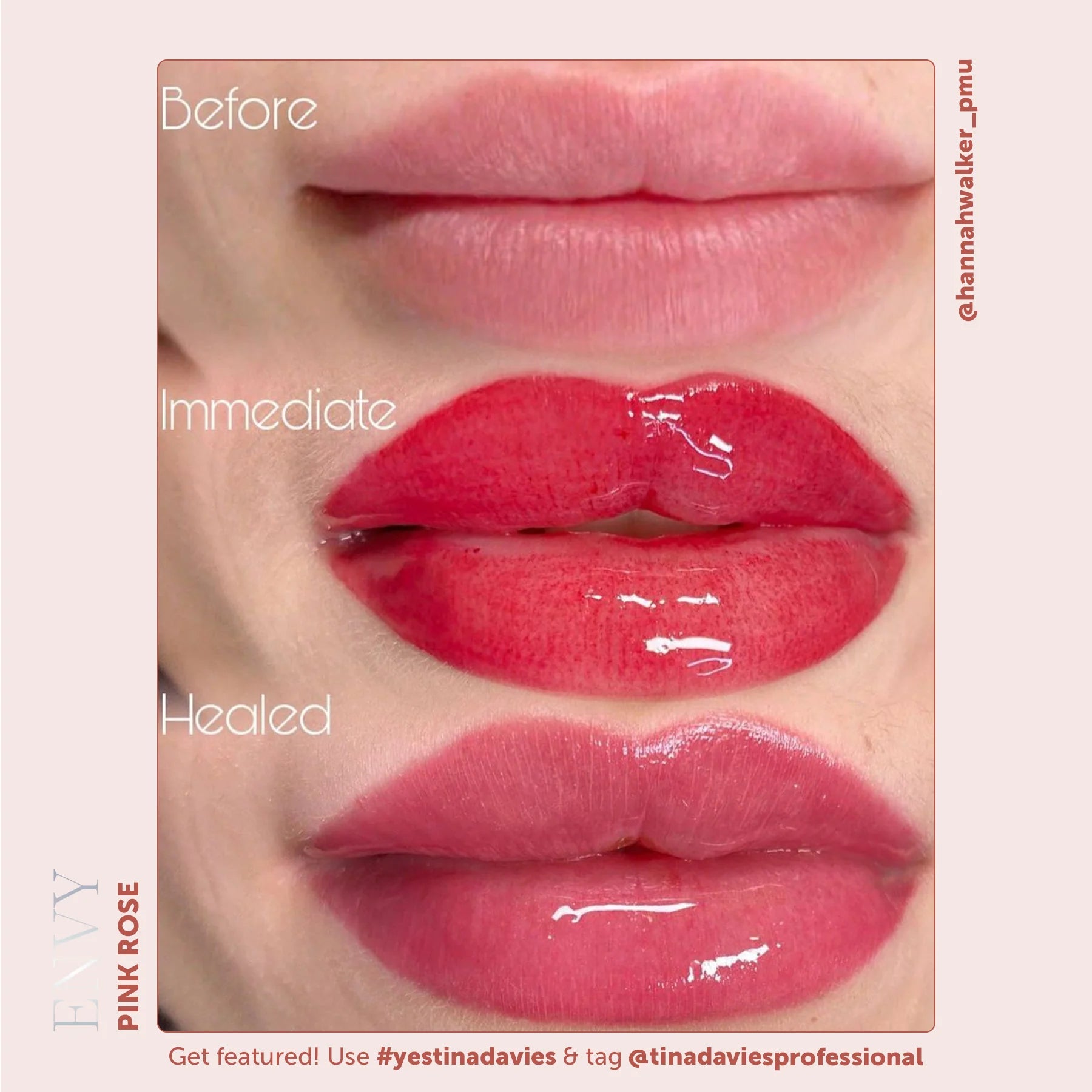 Lip Pigments – Envy Lip Pigments Pink Rose 15ml | Tina Davies x Perma Blend Luxe Professional PMU Lip Blush Pigment for Lip Neutralization, Lip Correction & Lip Tattoo Ink